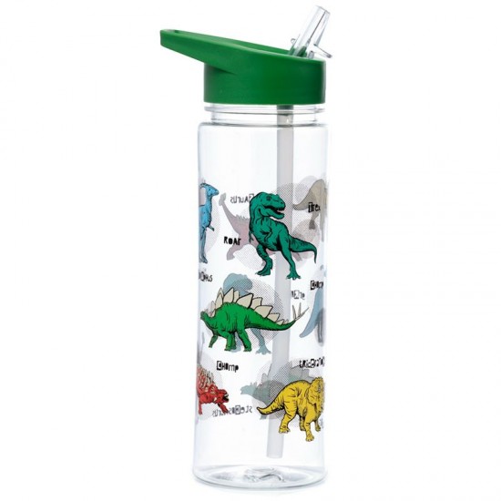 Reusable 550ml Water Bottle with Flip Straw – Dinosauria