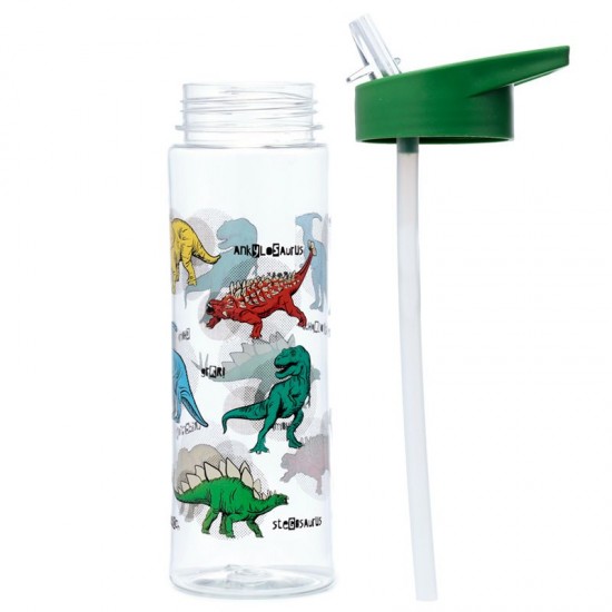 Reusable 550ml Water Bottle with Flip Straw – Dinosauria